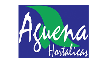 logo_0003_Camada33