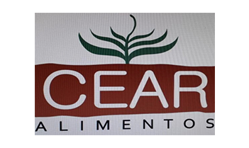 logo_0022_Camada14